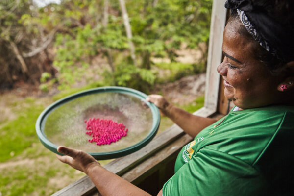 Biodiversidade